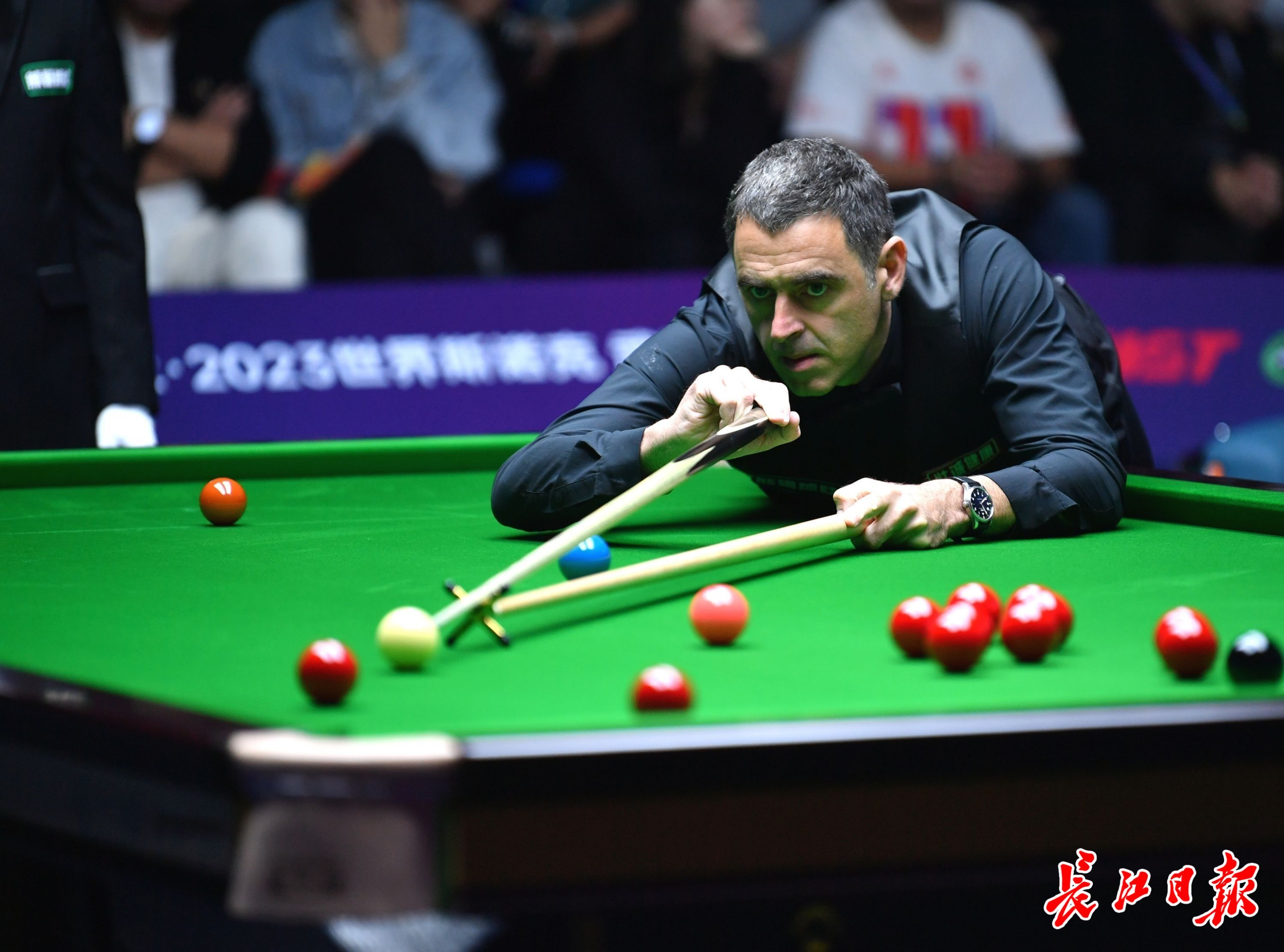 冬季运动的 冬季运动的